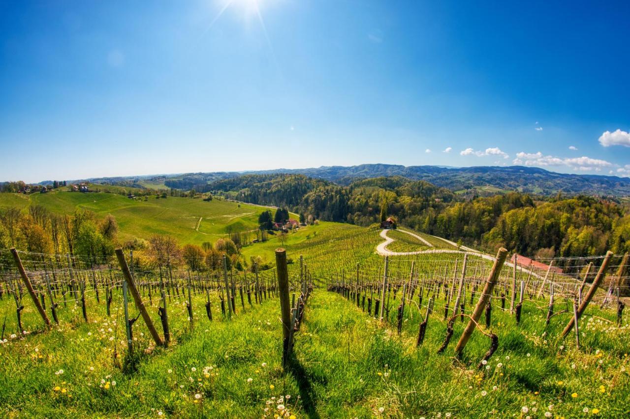Turisticna Kmetija Dreisiebner Villa Spicnik Kültér fotó