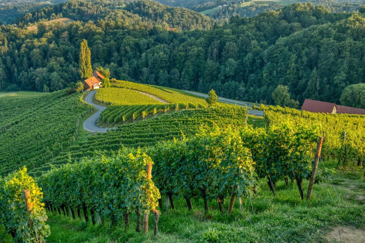 Turisticna Kmetija Dreisiebner Villa Spicnik Kültér fotó